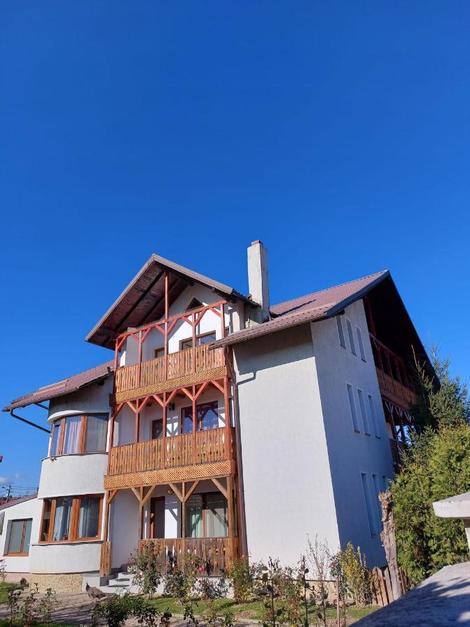 Pensiunea Vera Rîşnov Exterior foto